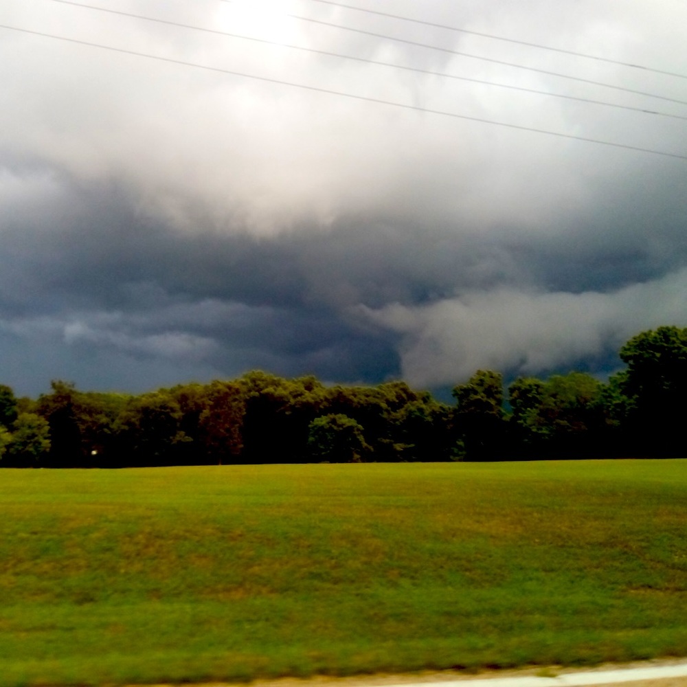 Meet your Posher, Whitney - Picture 9 of 13